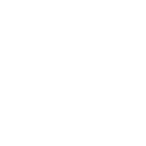 Why Choose Us Icon