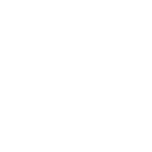 Why Choose Us Icon